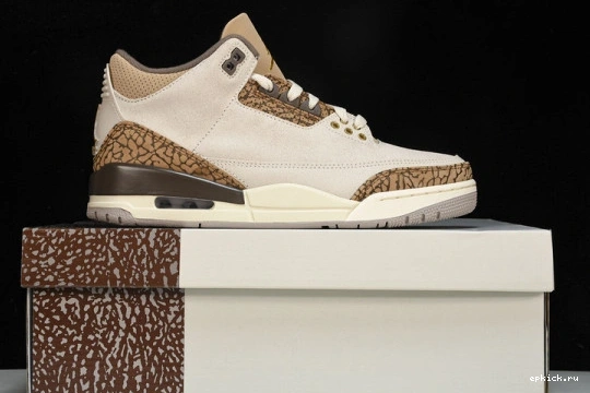 Rep EP CT8532-102 Palomino  3 CT8532-102 Jordan  Retro 0401